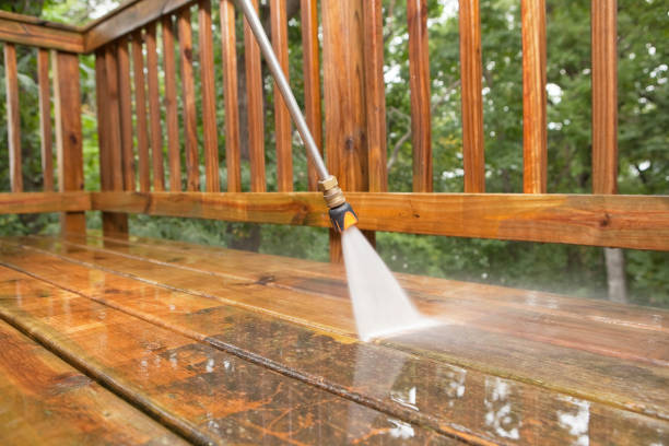 Best Pressure Washing Contractors  in La Joya, TX